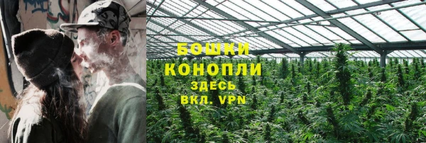 PSILOCYBIN Михайлов