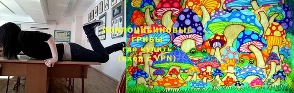 ешки Лабытнанги